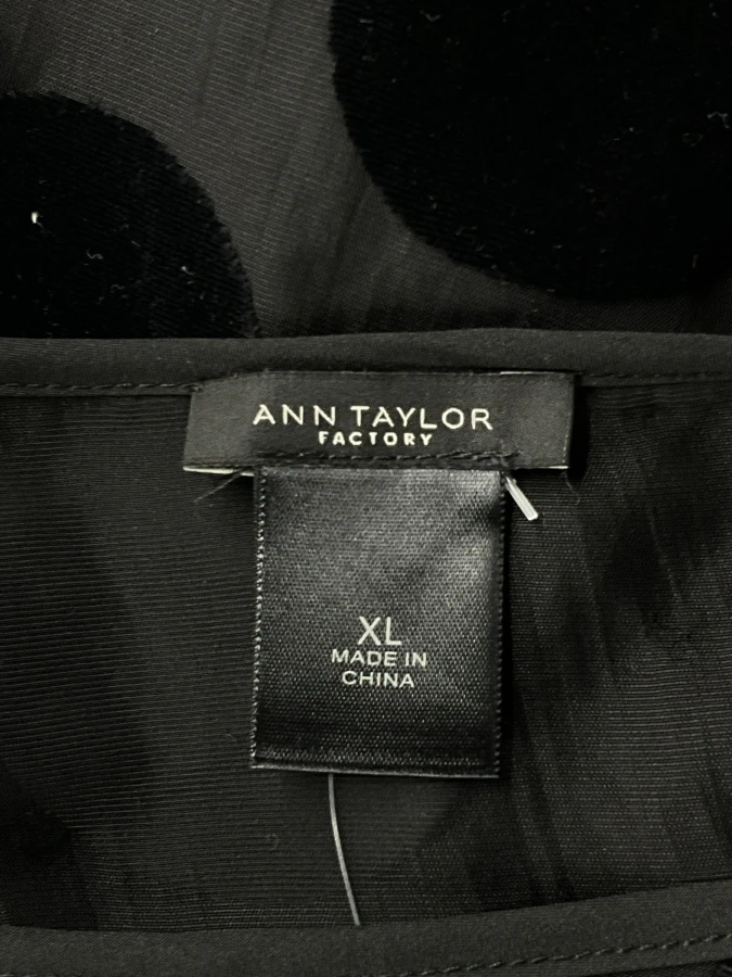 Ann Taylor