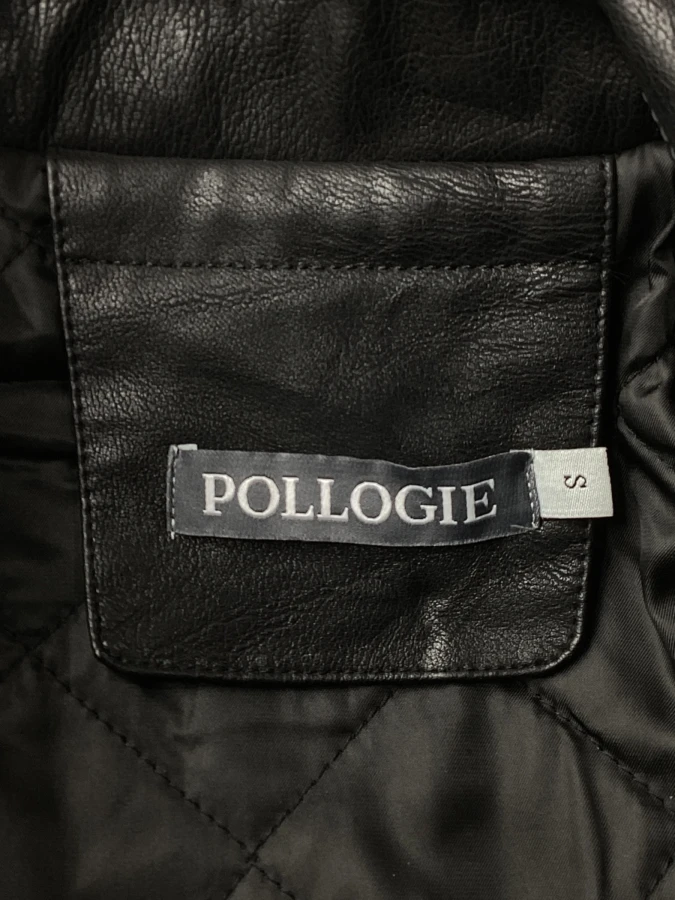 Pollogie
