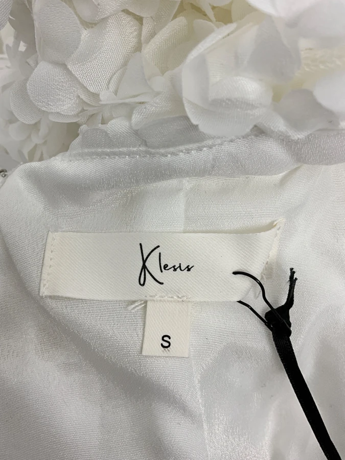 Klesis