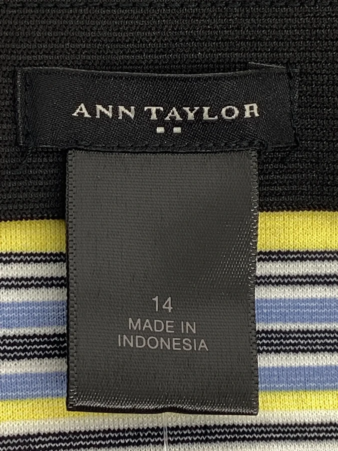 Ann Taylor