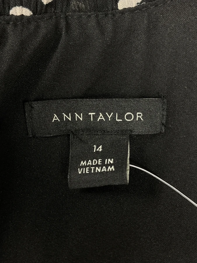 Ann Taylor