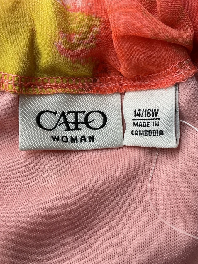 Cato