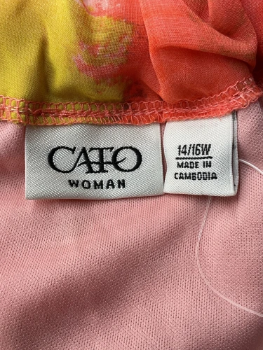 Cato