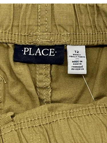 Place cargo shorts