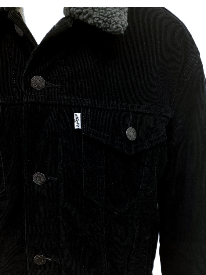 Levi Strauss & Co.
