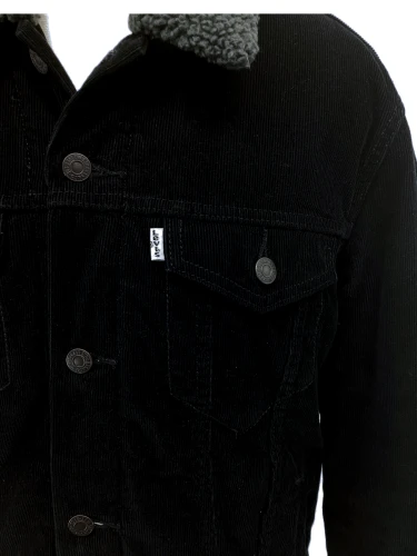 Levi Strauss & Co.