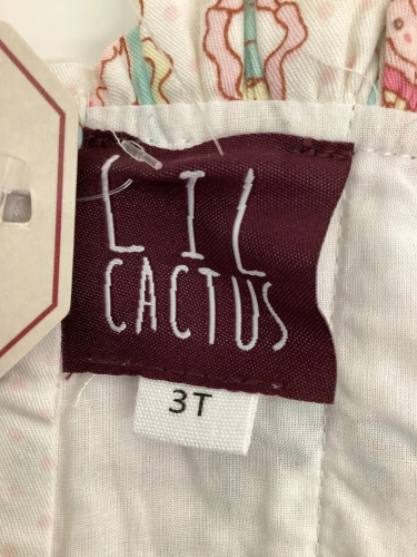 Lil Cactus