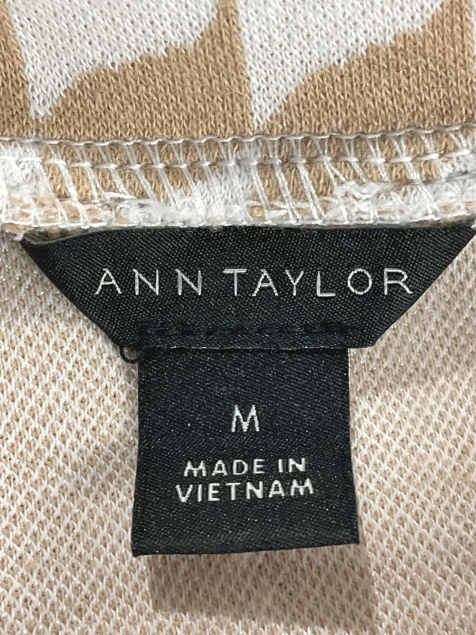 Ann Taylor