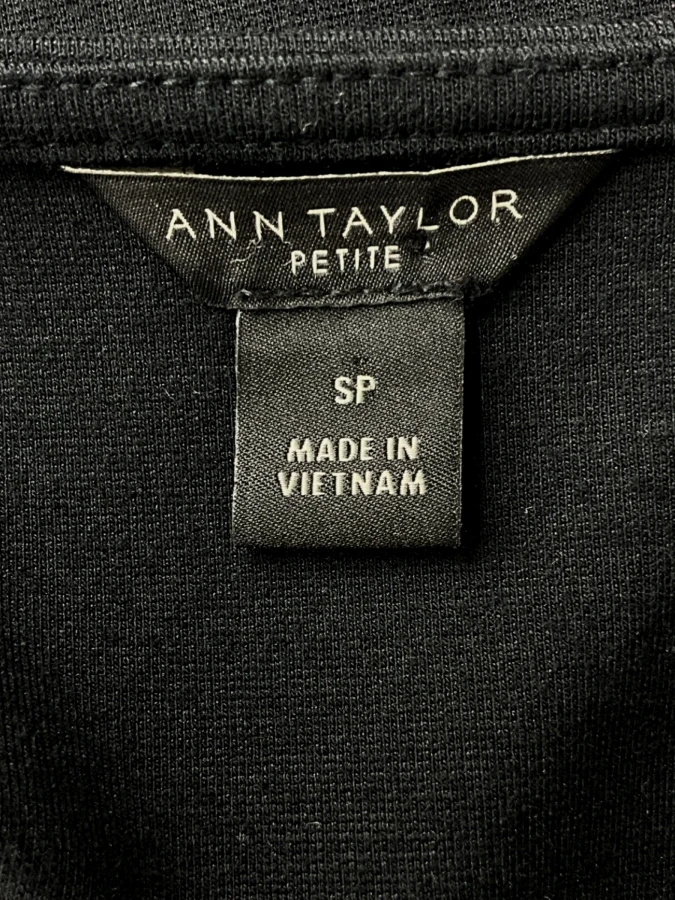 Ann Taylor