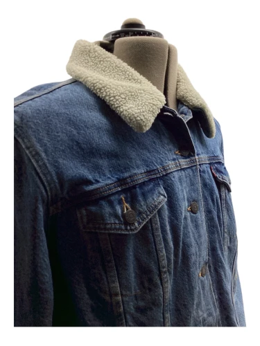 Levi Strauss & Co.