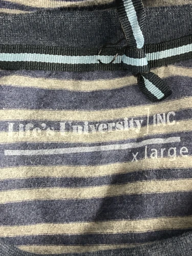 Life's University