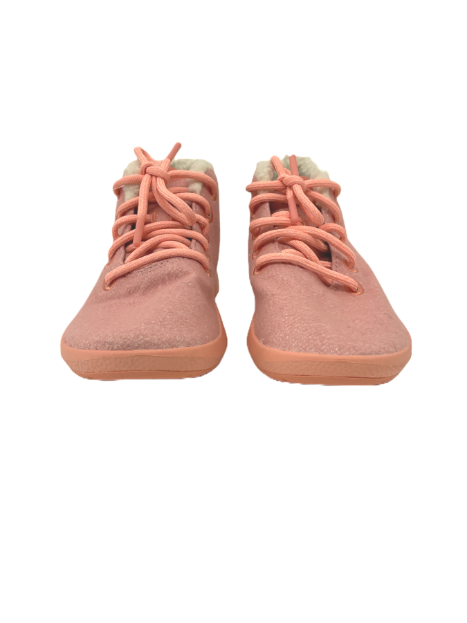 Allbirds
