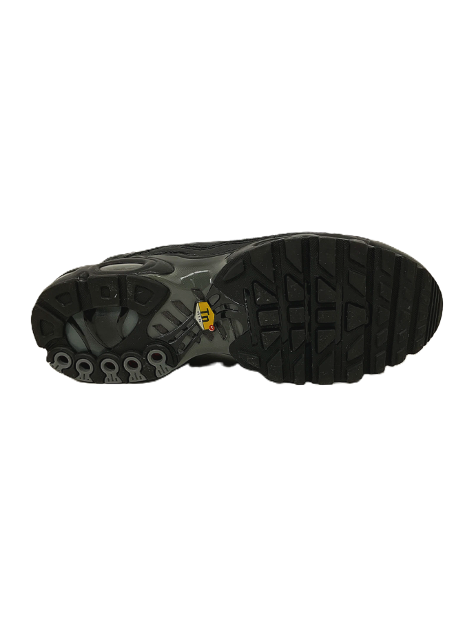 Nike Air Max Plus