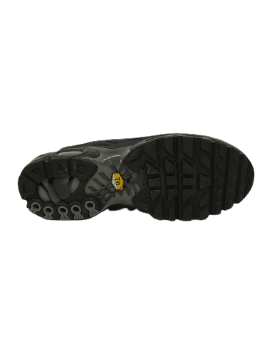 Nike Air Max Plus