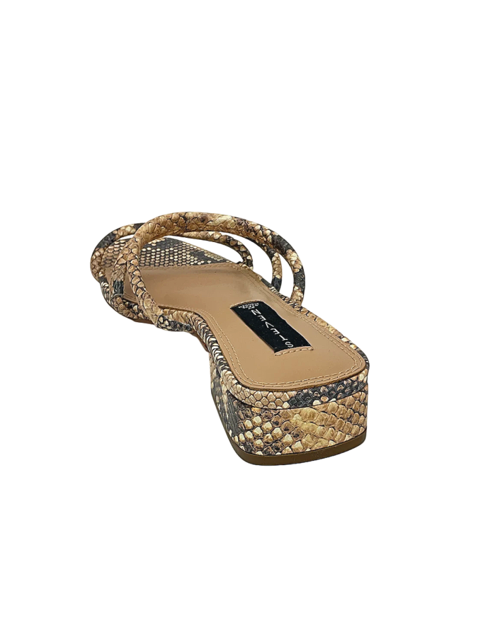 Steve Madden