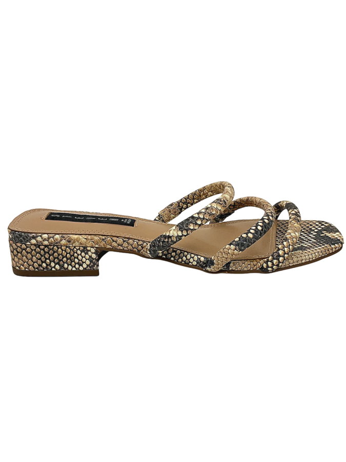 Steve Madden