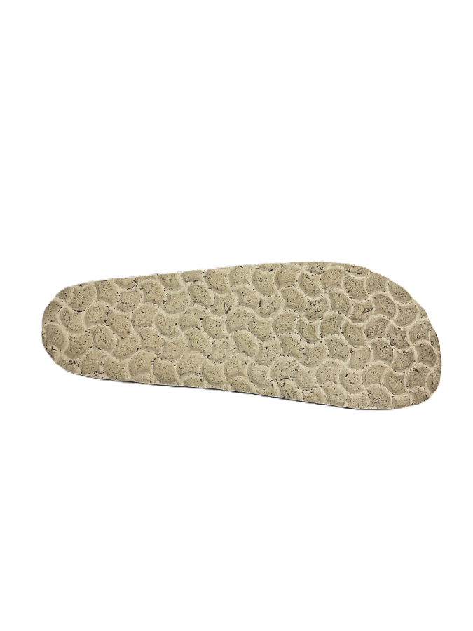 Biostep
