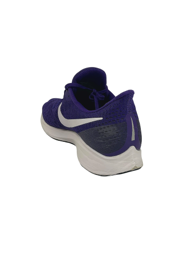 Nike Air Zoom Pegasus