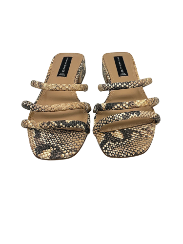 Steve Madden
