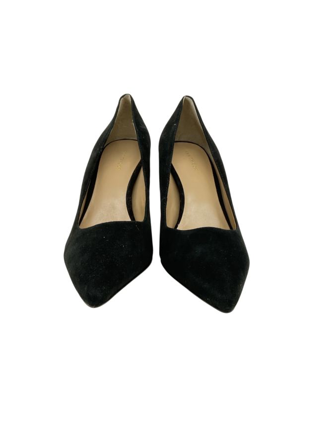 Ann Taylor