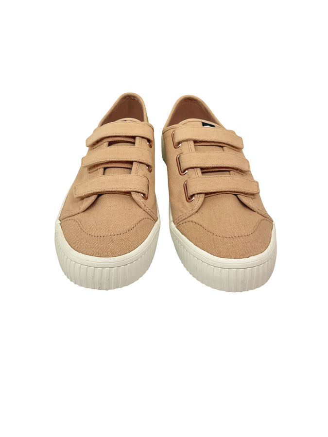 Sperry