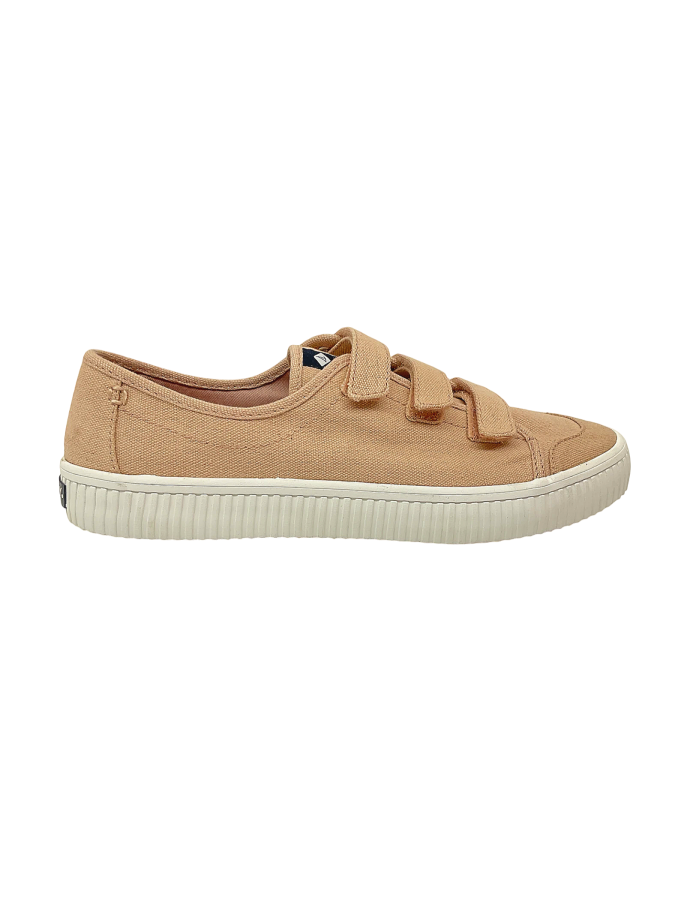 Sperry