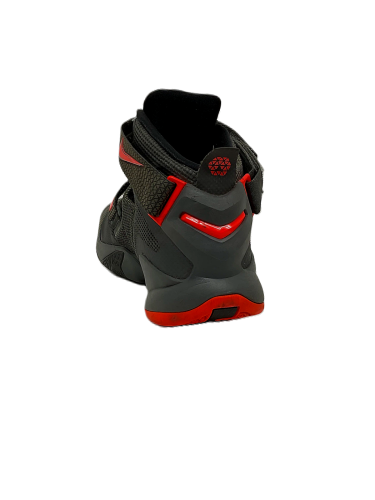 Nike Lebron