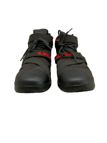 Nike Lebron