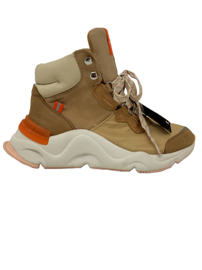 Sorel