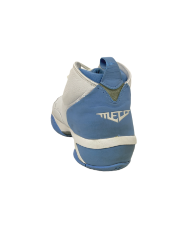 Nike Air Jordan