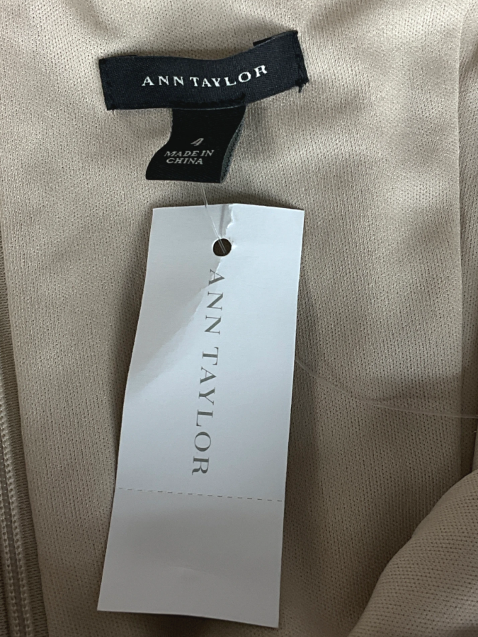 Ann Taylor