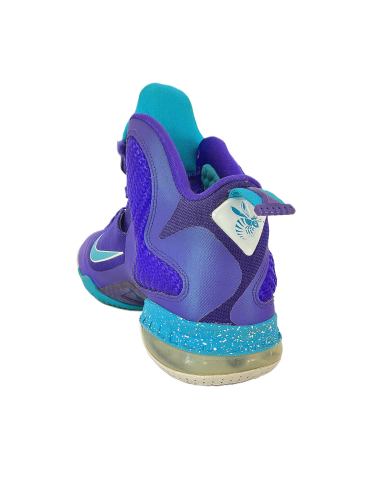 Nike Lebron