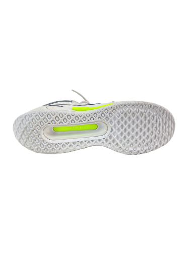 Nike Zoom Court