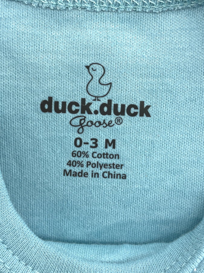 Duck Duck Goose