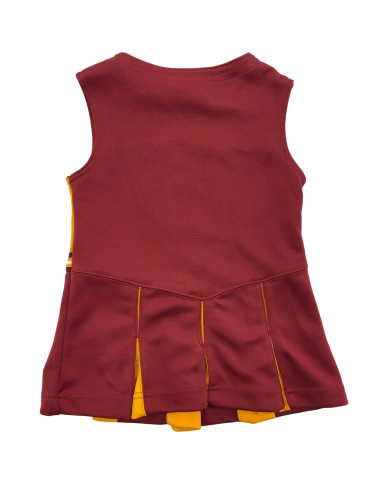 NFL Washington Redskins/Commanders
