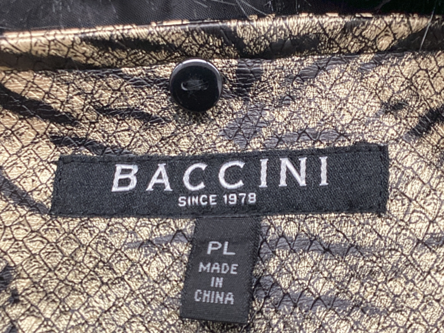 Baccini