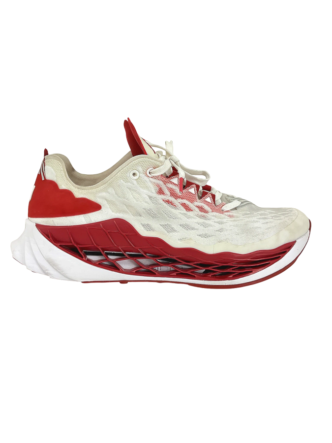 Jordan Zoom Trunners