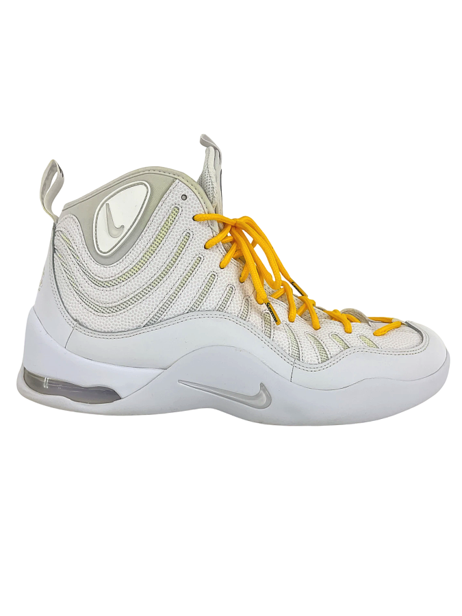 Nike Air Bakin