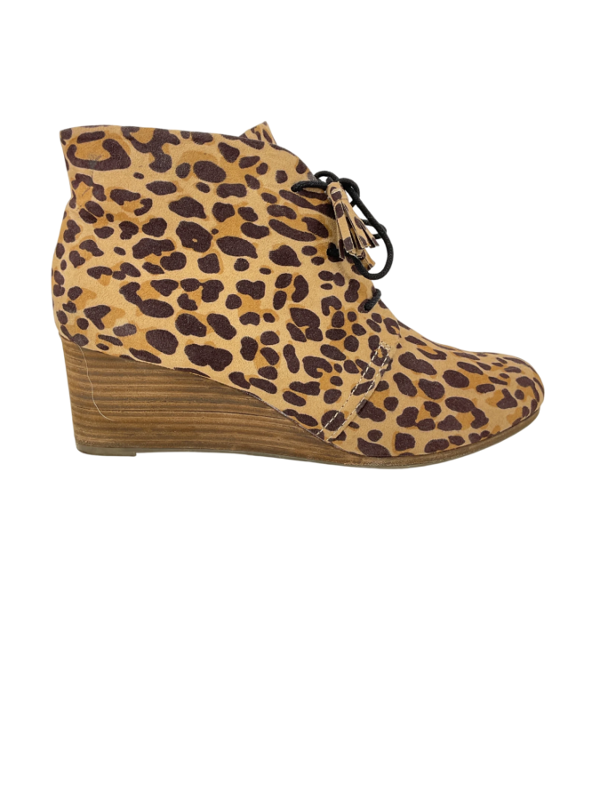 Dr Scholls