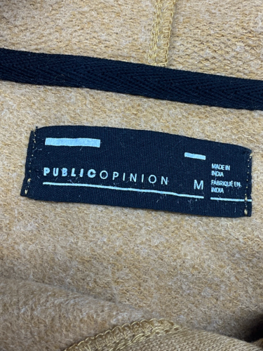 Public Opinion