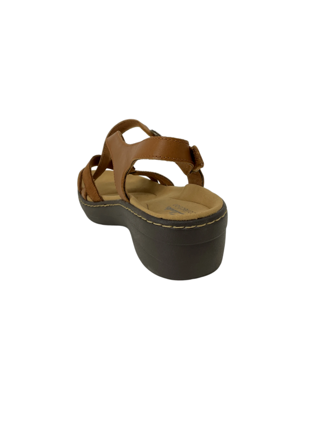 Clarks Collection