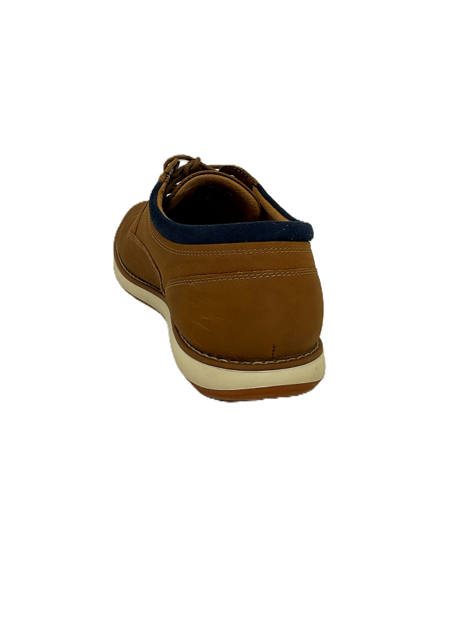 Aldo