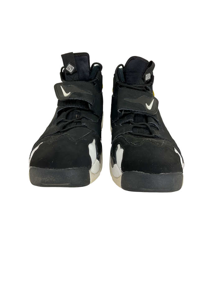 Nike Air DT Max