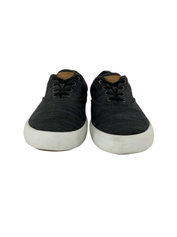Sperry