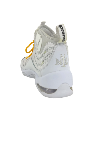 Nike Air Bakin