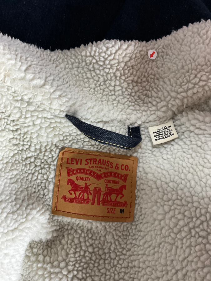 Levi Strauss & Co.