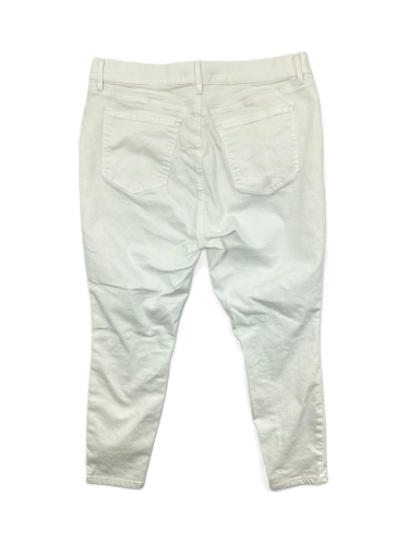 Ann Taylor
