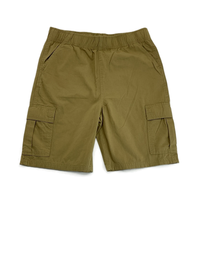 Place cargo shorts