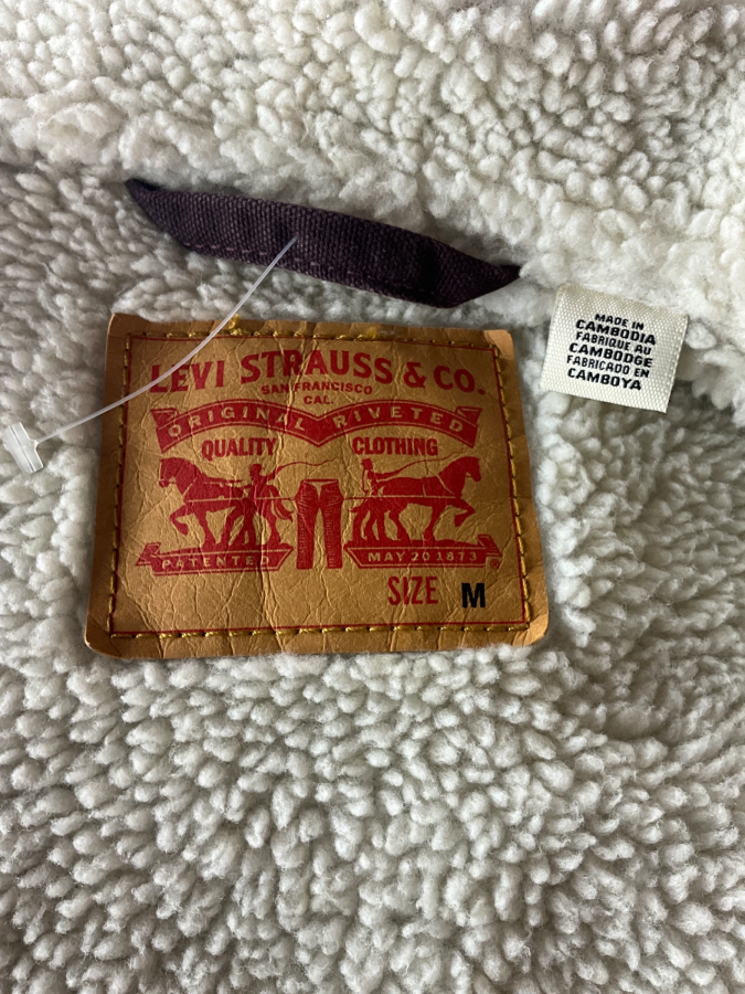 Levi Strauss & Co.