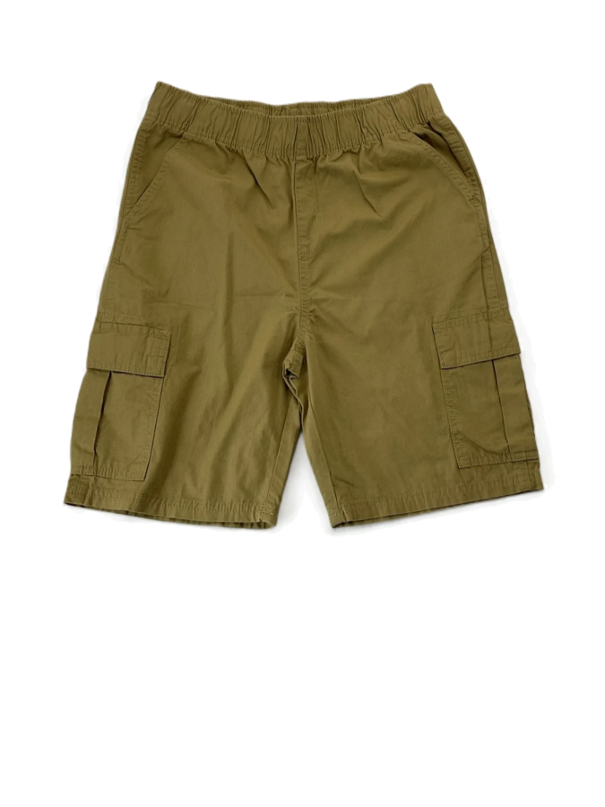 Place cargo shorts